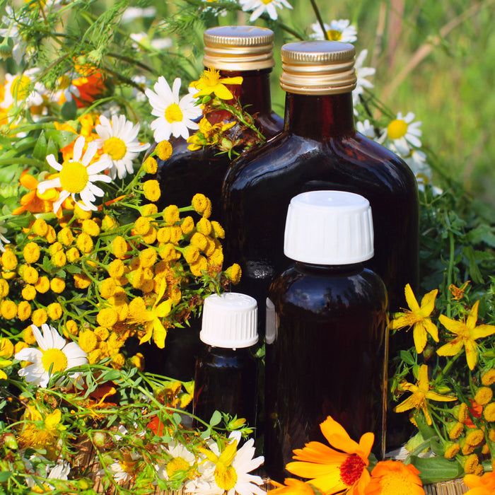 Kräuterstarkes Frühlingsglück!