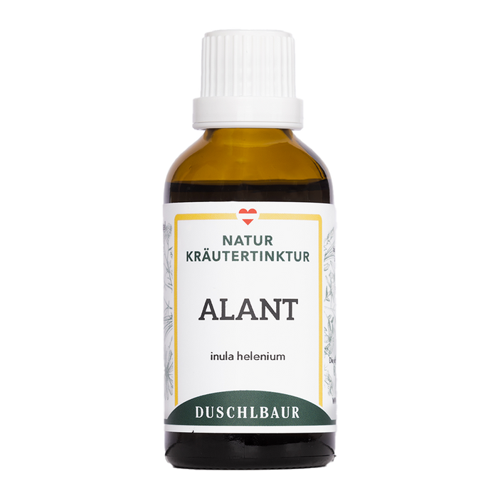 Alant Tinktur - inula helenium