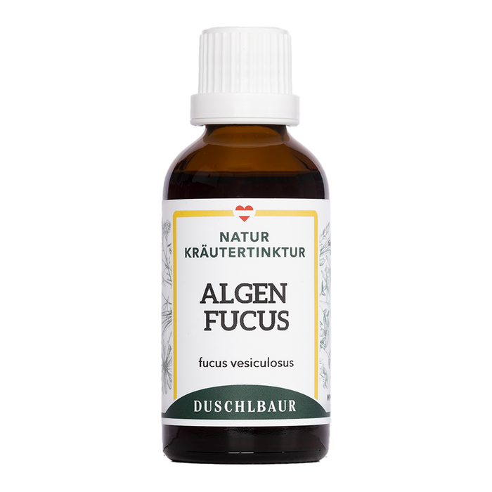Algen Fucus Tinktur - Blasentang - fucus vesiculosus