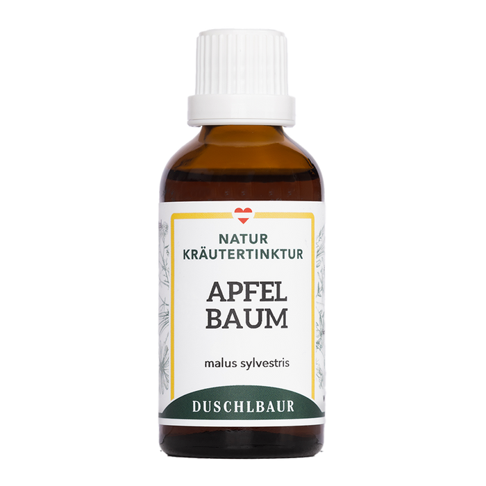 Apfelbaum Tinktur- malus sylverstris