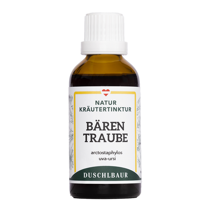 Bärentraube Tinktur - arctostaphylos uva ursi