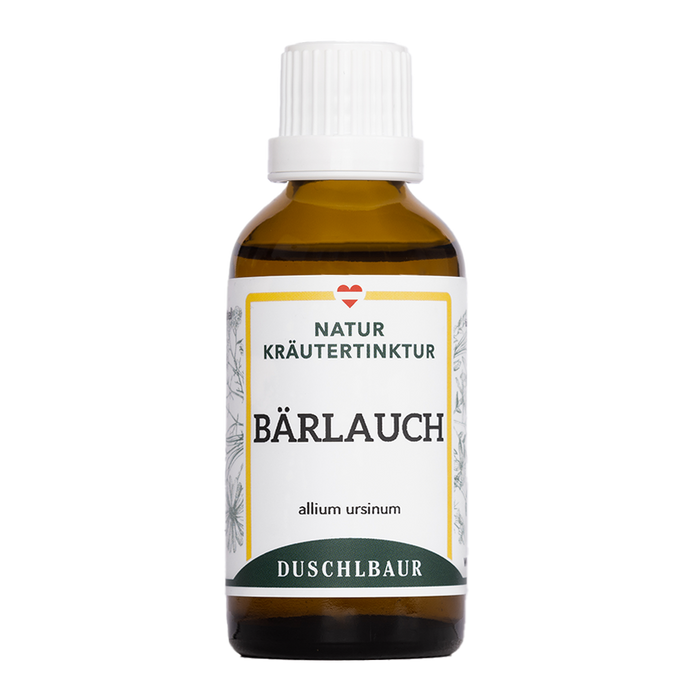 Bärlauch Tinktur - allium ursinum