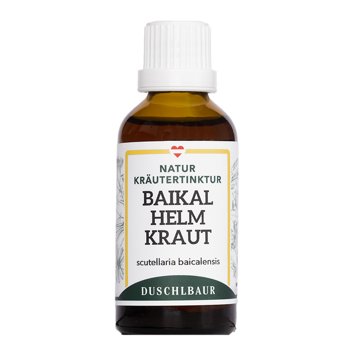 Baikal Helmkraut Skullcap Tinktur - scutellaria baicalensis