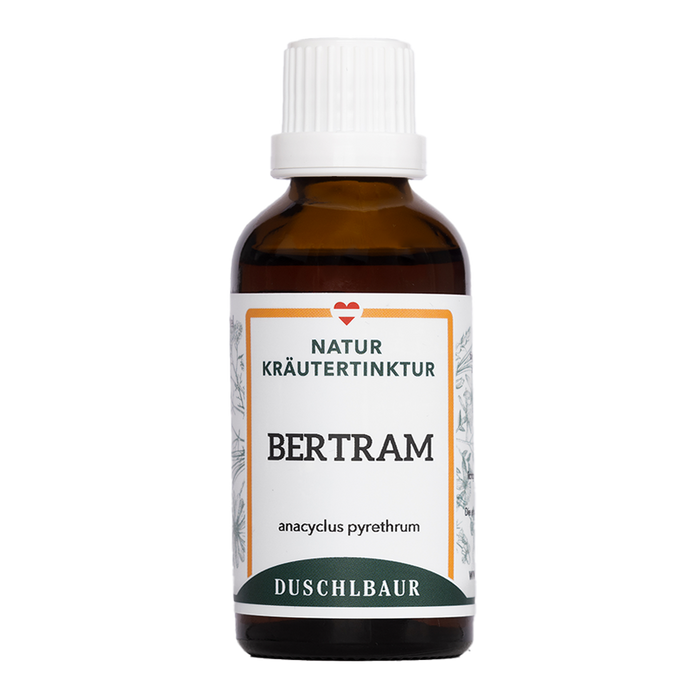 Bertram Tinktur - anacyclus pyrethrum