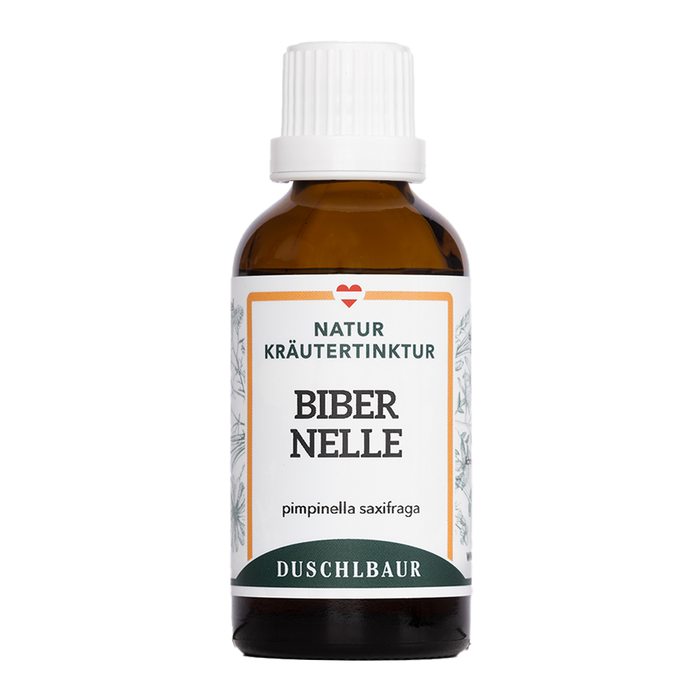 Bibernelle Tinktur - pimpinella saxifraga