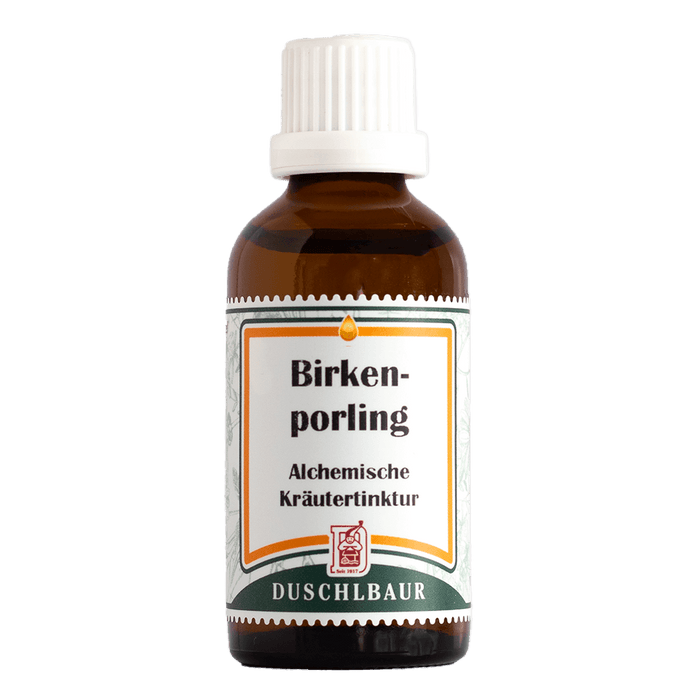 Birkenporling Tinktur - piptoporus betulinus