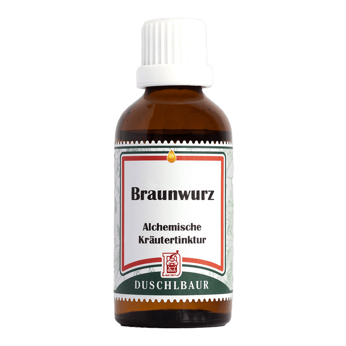 Braunwurz Tinktur - scrophularia nodosa