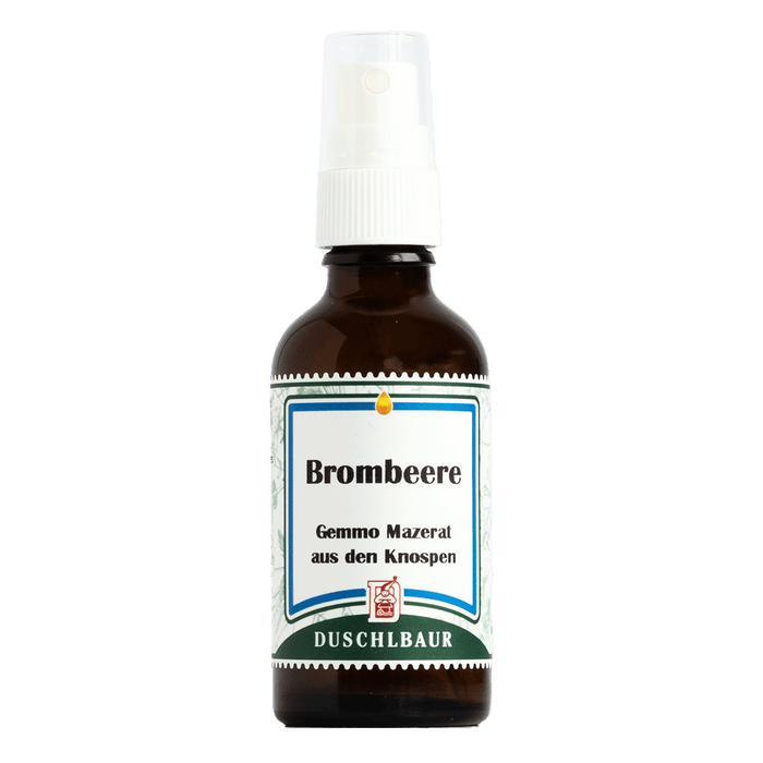 Brombeere Gemmo Mazerat