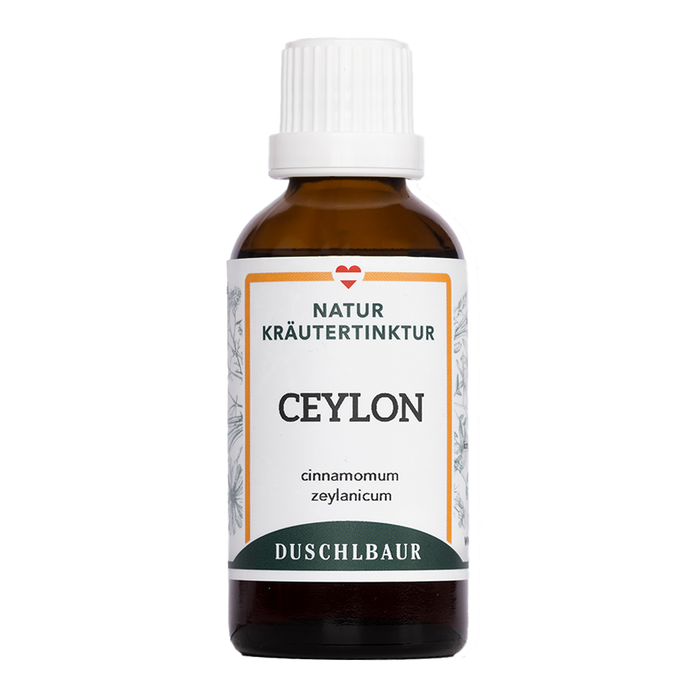Ceylon Zimt Tinktur - cinnamomum zeylanicum