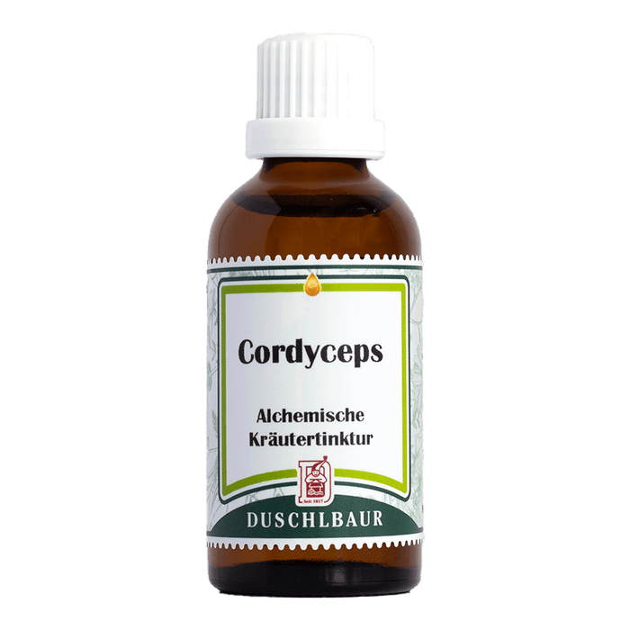 Cordyceps Tinktur Raupenpilz - cordyceps sinensis