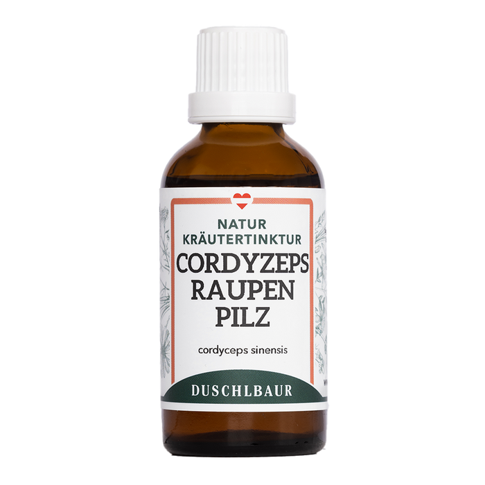 Cordyceps Tinktur Raupenpilz - cordyceps sinensis