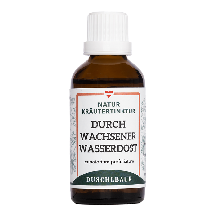 Wasserdost Tinktur - eupatorium perfoliatum