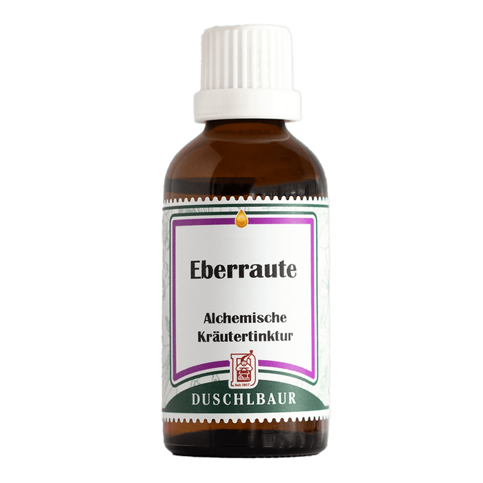Eberraute Tinktur - artemisia abrotanum
