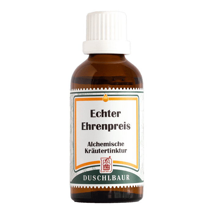 Echter Ehrenpreis Tinktur - veronica officinalis