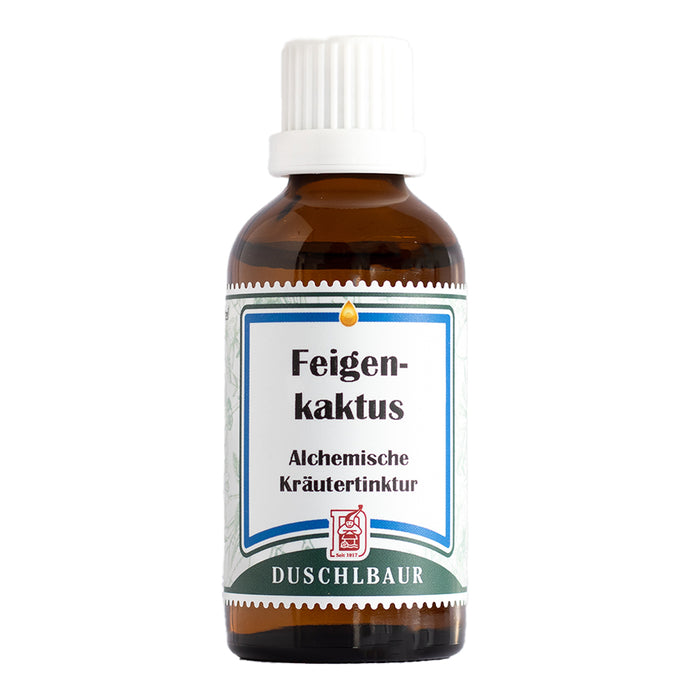 feigenkaktus tinktur auszug