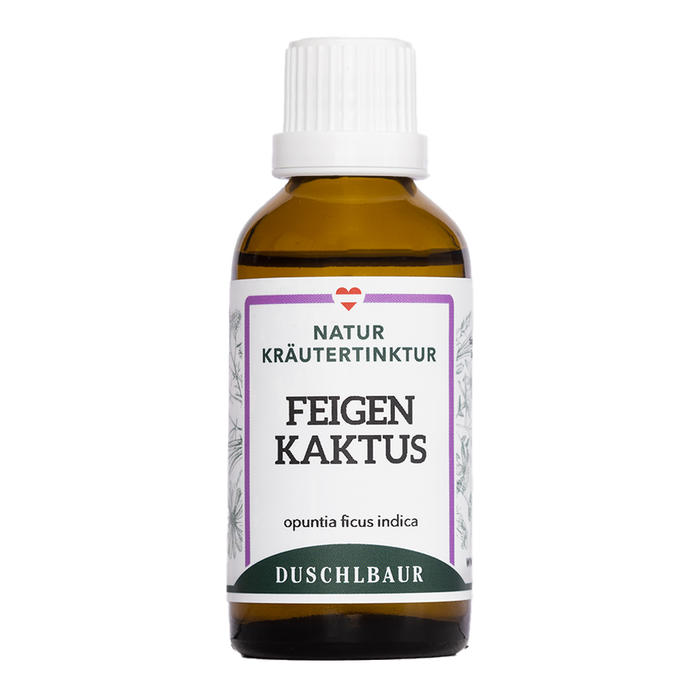 Feigenkaktus Opuntia Tinktur - ficus-indica