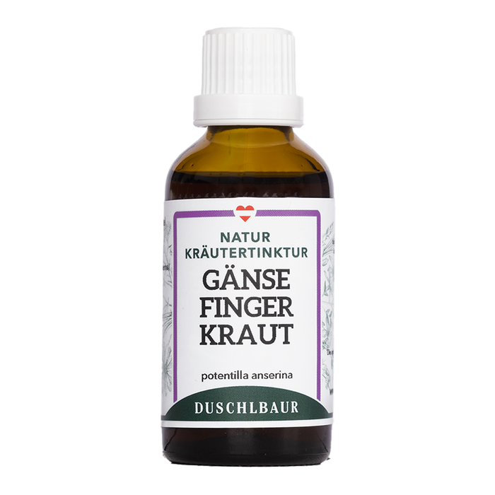 Gänsefingerkraut Tinktur - potentilla anserina