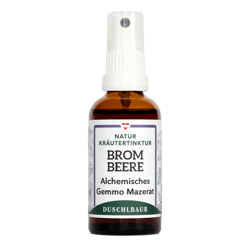 Brombeere Gemmo Mazerat - rubus fruticosus - Knochen, Psyche, Gelenke
