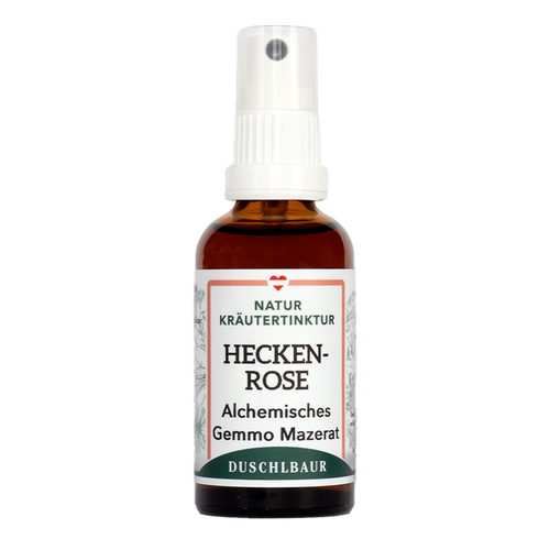 Heckenrose Gemmo Mazerat - rosa canina - Immunsystem, Atemwege, Infekte