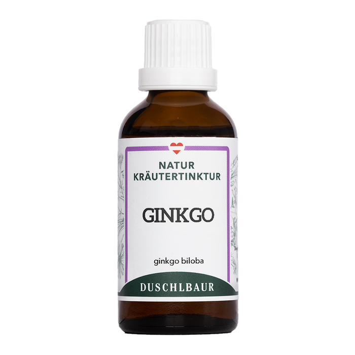Ginkgo Tinktur - ginkgo biloba