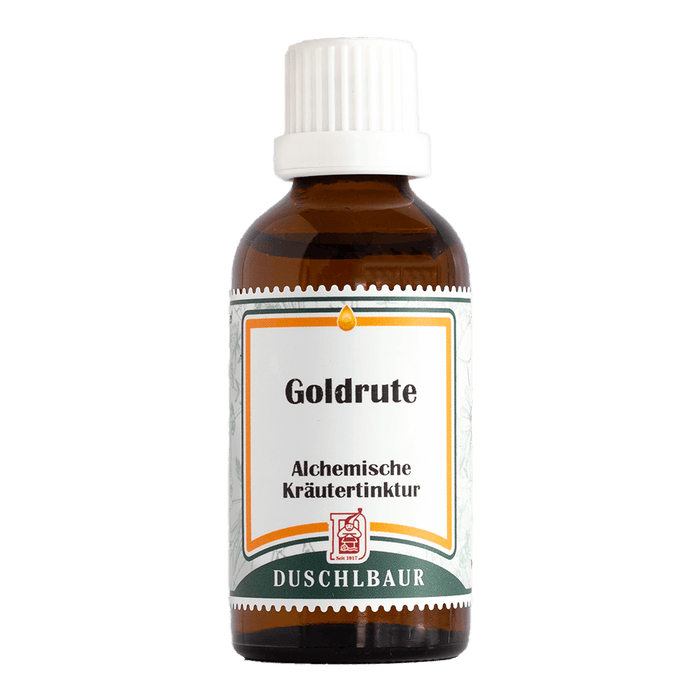 Goldrute echt Tinktur - solidago virgaurea