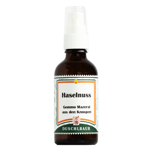 Haselnuss Gemmo Mazerat