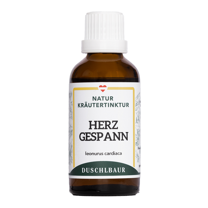 Herzgespann Tinktur - leonurus cardiaca