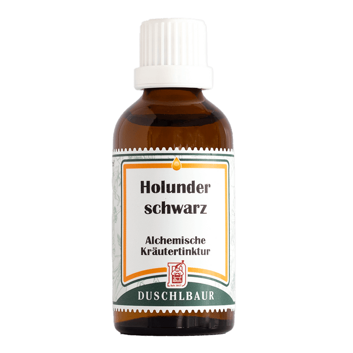 Holunder schwarz Tinktur - sambucus nigra