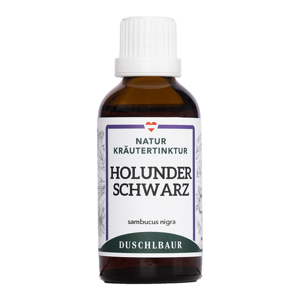 Schwarzer Holunder