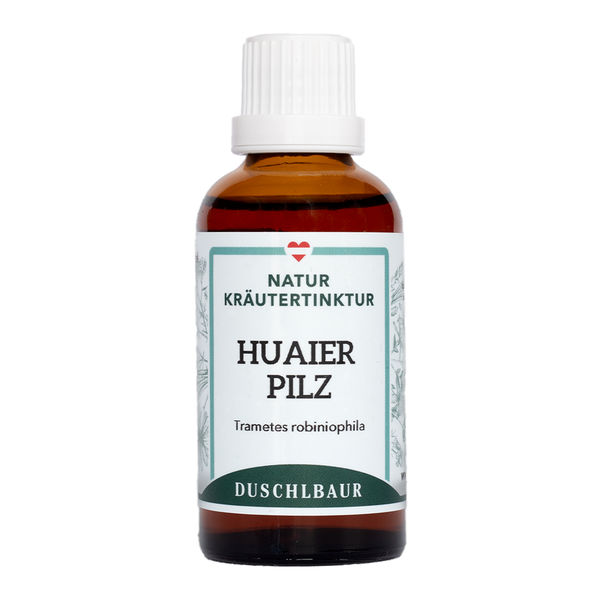Huaier Pilz 40 %