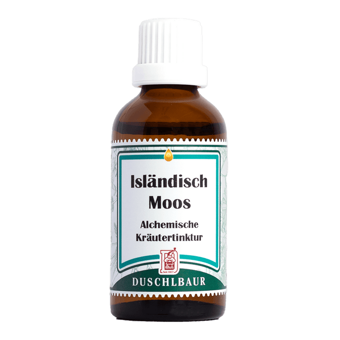 Isländisch Moos Tinktur - cetraria islandica