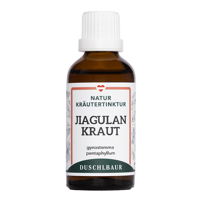 Jiaogulankraut Tinktur - gynostemma pentaphyllum