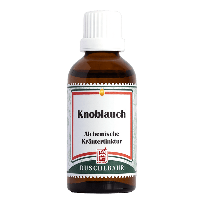 Knoblauch Tinktur - allium sativum