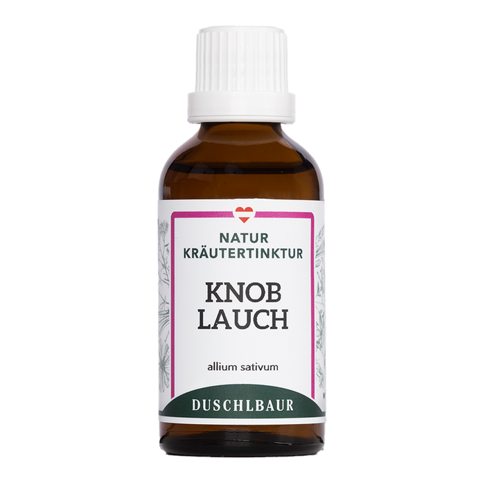 Knoblauch Tinktur - allium sativum