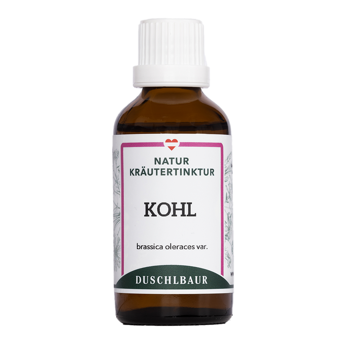 Kohl Tinktur - brassica oleracea