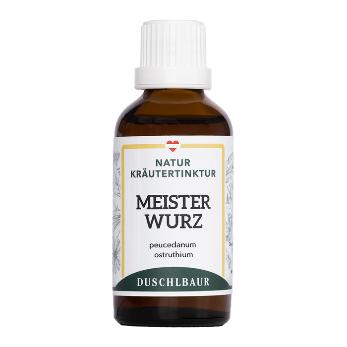 Meisterwurz Tinktur - peucedanum ostruthium