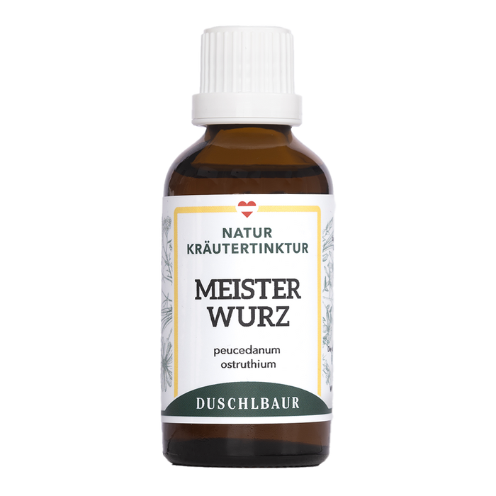 Meisterwurz Tinktur - peucedanum ostruthium