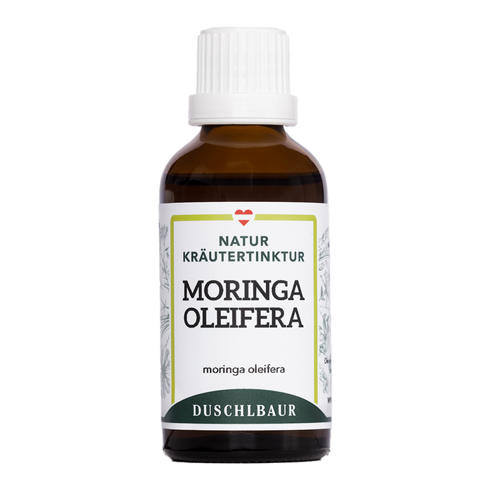 Moringa oleifera Tinktur - moringa oleifera