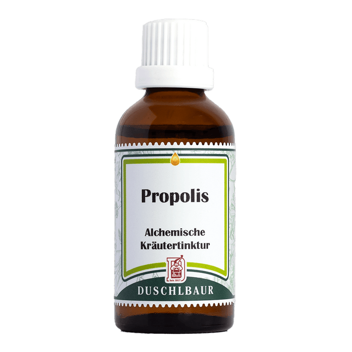 Propolis Tropfen aus Bienenharz