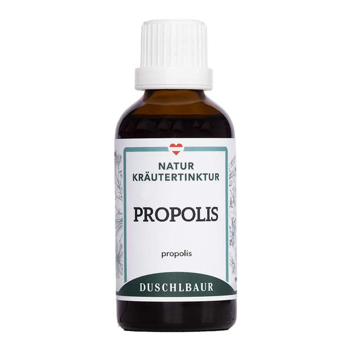 Propolis Tropfen aus Bienenharz
