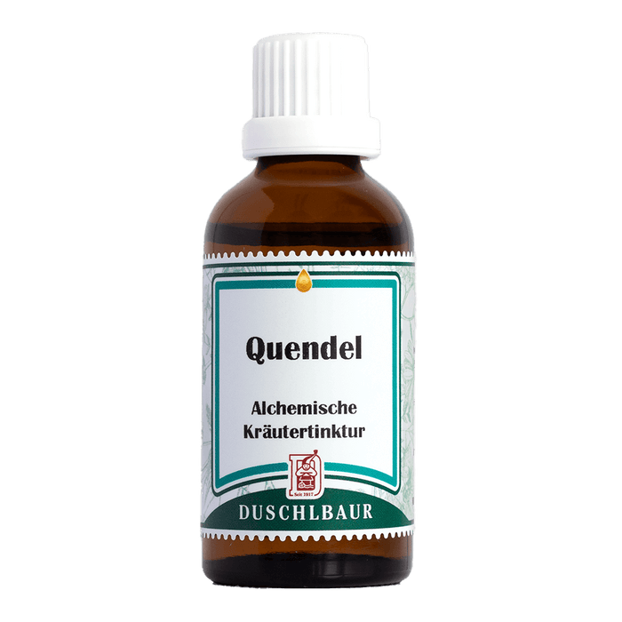 Quendel Tinktur - thymus pulegioides