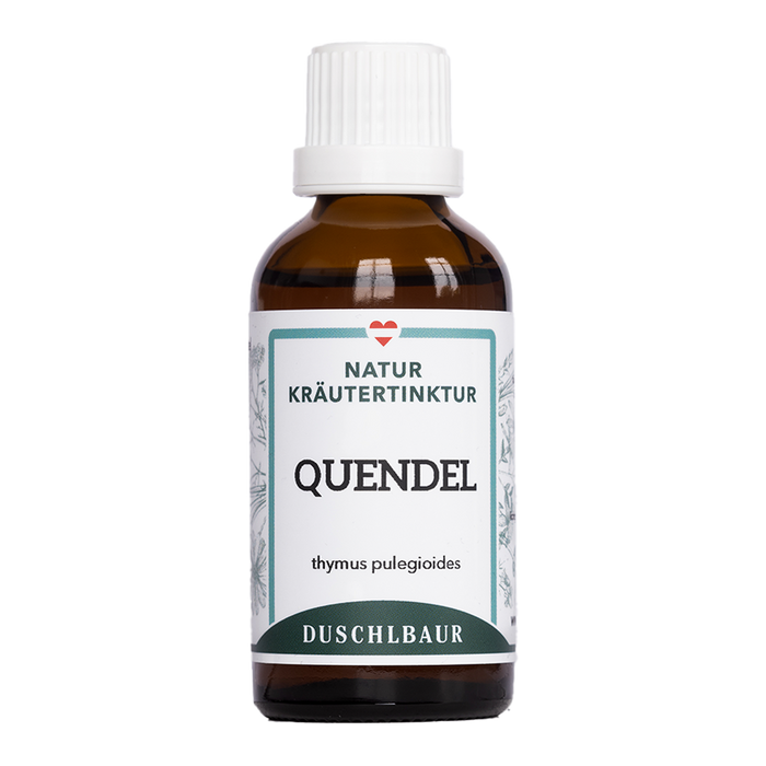Quendel Tinktur - thymus pulegioides