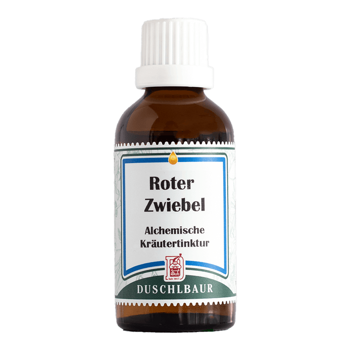 Rote Zwiebel Tinktur - allium cepa