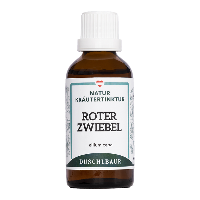 Rote Zwiebel Tinktur - allium cepa