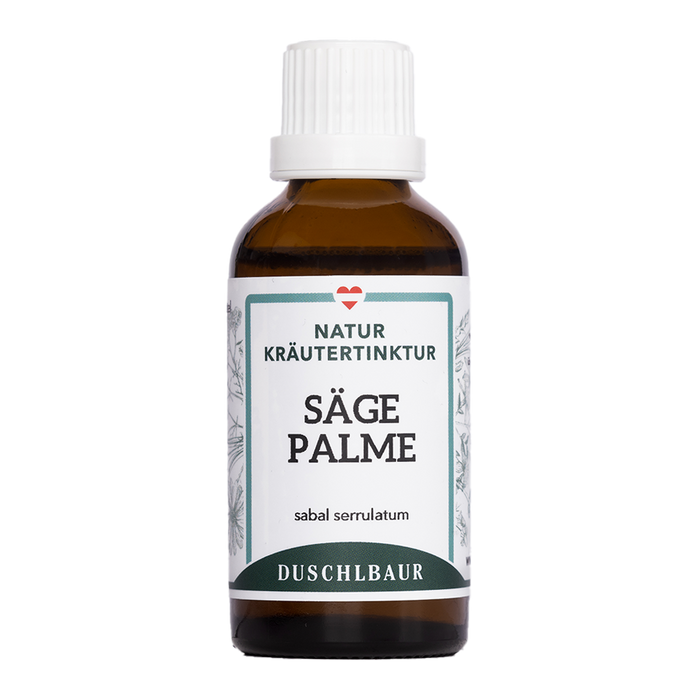 Sägepalme Tinktur - sabal serrulatum