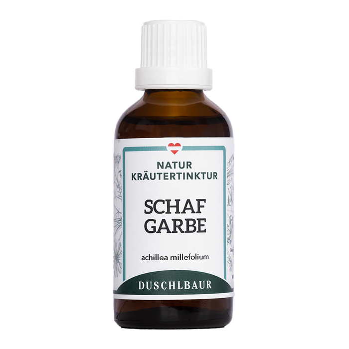 Schafgarbe Tinktur - achillea millefolium