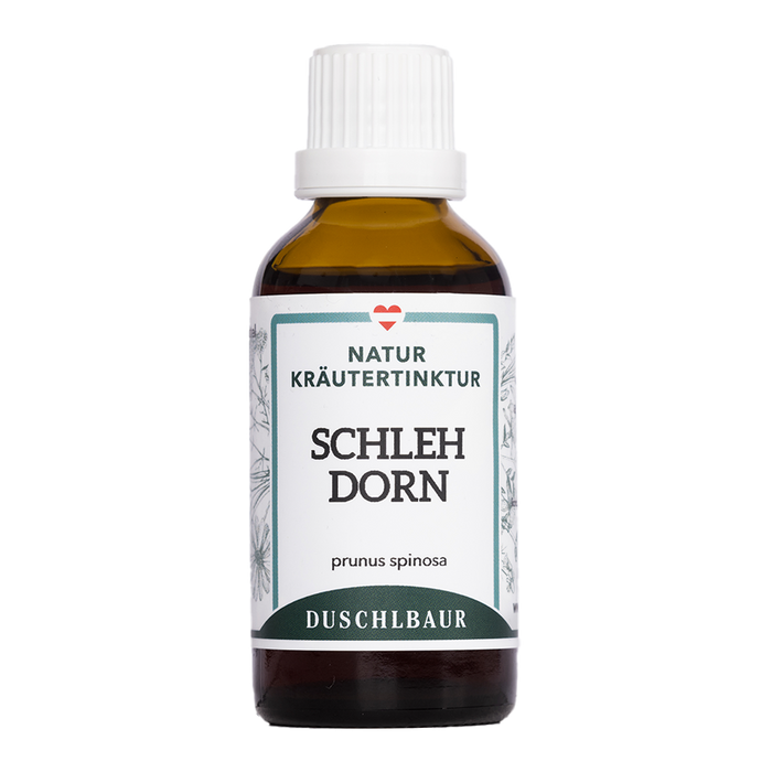 Schlehdorn Tinktur - prunus spinosa