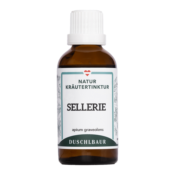Sellerie Tinktur - apium graveolens