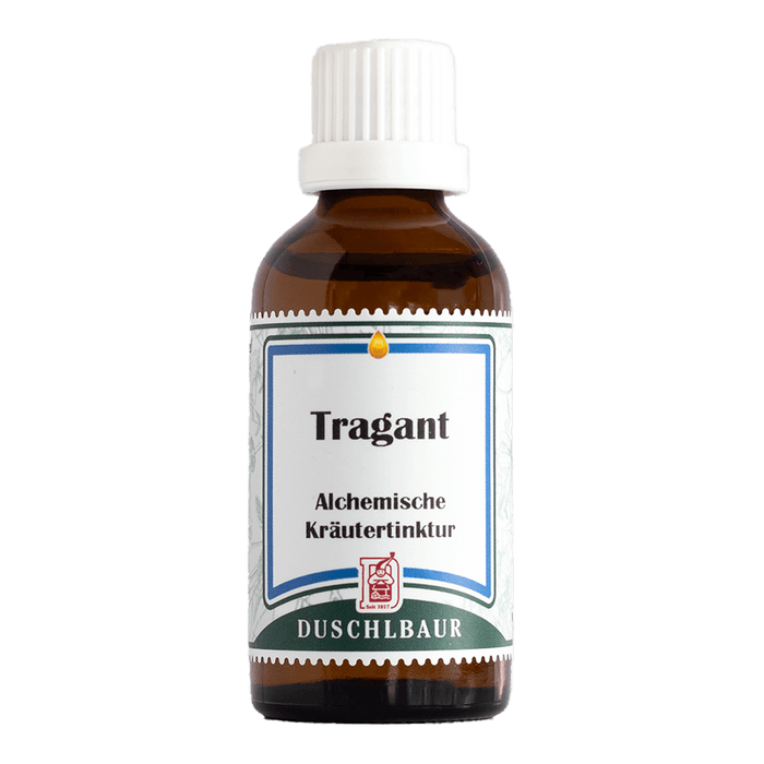 Tragant Tinktur - astragalus spruneri