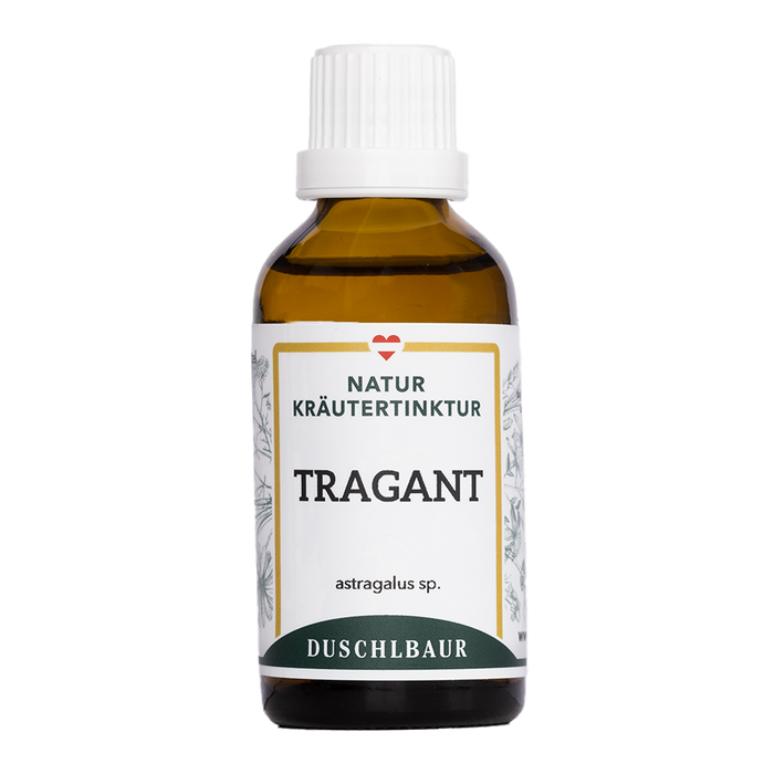 Tragant Tinktur - astragalus spruneri